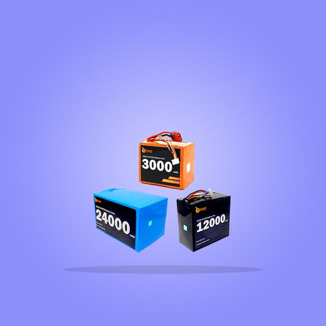 Lithium Iron Phosphate (LFP) Battery Pack