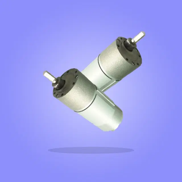 Pro-Range 12V OG 555 DC Gear Motor
