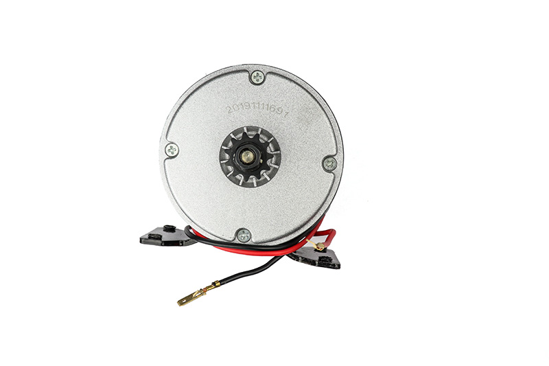 Buy MY1016 24V 250W 2650RPM DC Motor for Cycle Ebike at Low Price