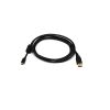 Usb 2.0 A Male To Mini-B 5Pin Male 2824Awg Cable With Ferrite Core