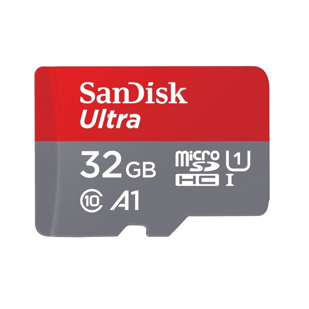 Diplomatieke kwesties Aanpassingsvermogen Bergbeklimmer Buy SanDisk Micro SD/SDHC 32GB Class 10 Memory Card Online at Best Price
