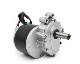 Buy MY1016Z2 360RPM 250W Geared DC Motor for Ebike Online at Best Price