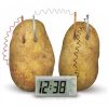 Creative LED Alarm Clock by Potato Lemon Fruit Soft Drink