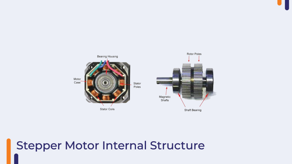 Stepper Motor Internal Structure