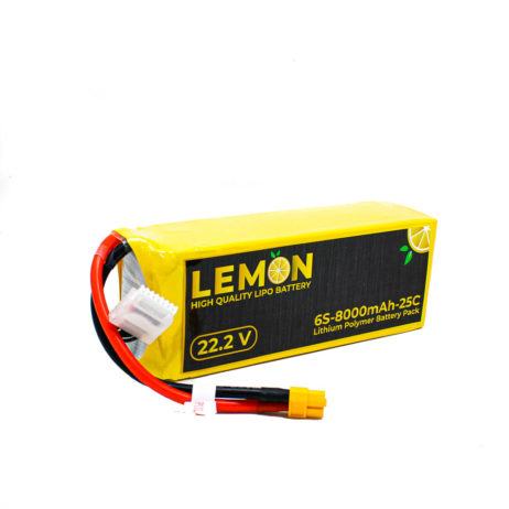 Lemon 1059834 6