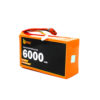 Orange Img 5107