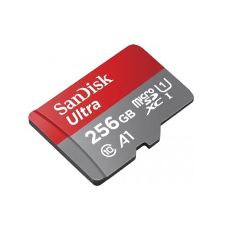 Sandisk Sandisk 256 Gb Sd Card 1