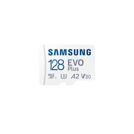 SAMSUNG EVO Plus
